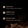 Venturous Oudh Perfume for Men 100ml