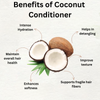 Coconuty Allure - Conditioner