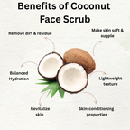 Coconuty Allure - Face Wash