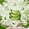 Dr. Herbalist Quiksip Instant Drink Powder 100gm – Aloe Vera