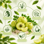 Dr. Herbalist Quiksip Instant Drink Powder 100gm – Amla