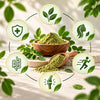 Dr. Herbalist Superfood – Moringa Powder 250gm