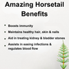 Herbal Oil 30ml - Horsetail