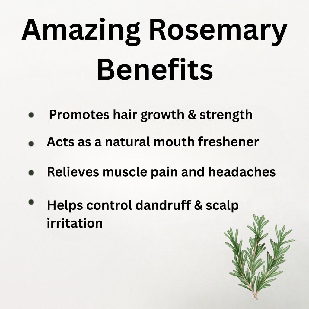 Herbal Oil 30ml - Rosemary
