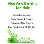 Intensive Care Therapy Aloe Vera Shampoo 300ml