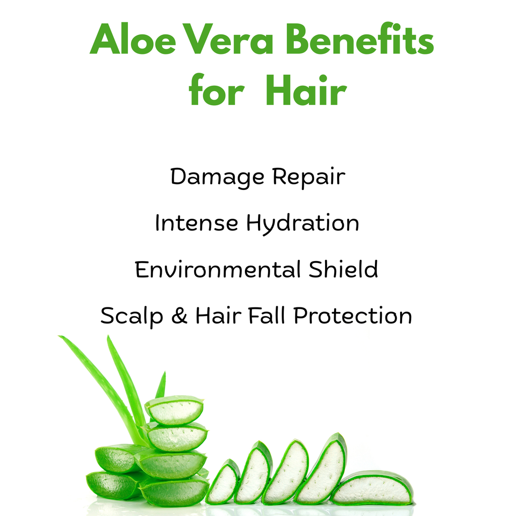 Intensive Care Therapy Aloe Vera -  No Rinse Biphase Conditioner 150ml