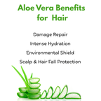 Intensive Care Therapy Aloe Vera -  No Rinse Biphase Conditioner 150ml