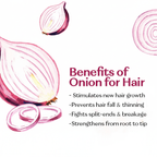 Onion Hair Oil for Shiny and Long Hairs By Hemani Herbal