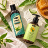 Scalp Comfort & Hydration Duo