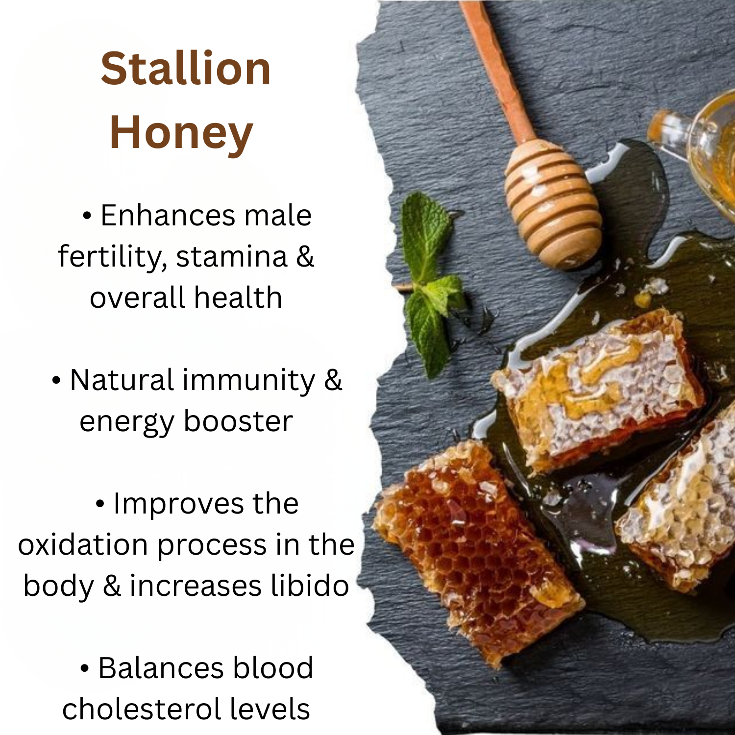 Stallion Honey Box – 12 Sachets