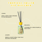 Tropical Fruits Scented Reed Diffuser 110ml
