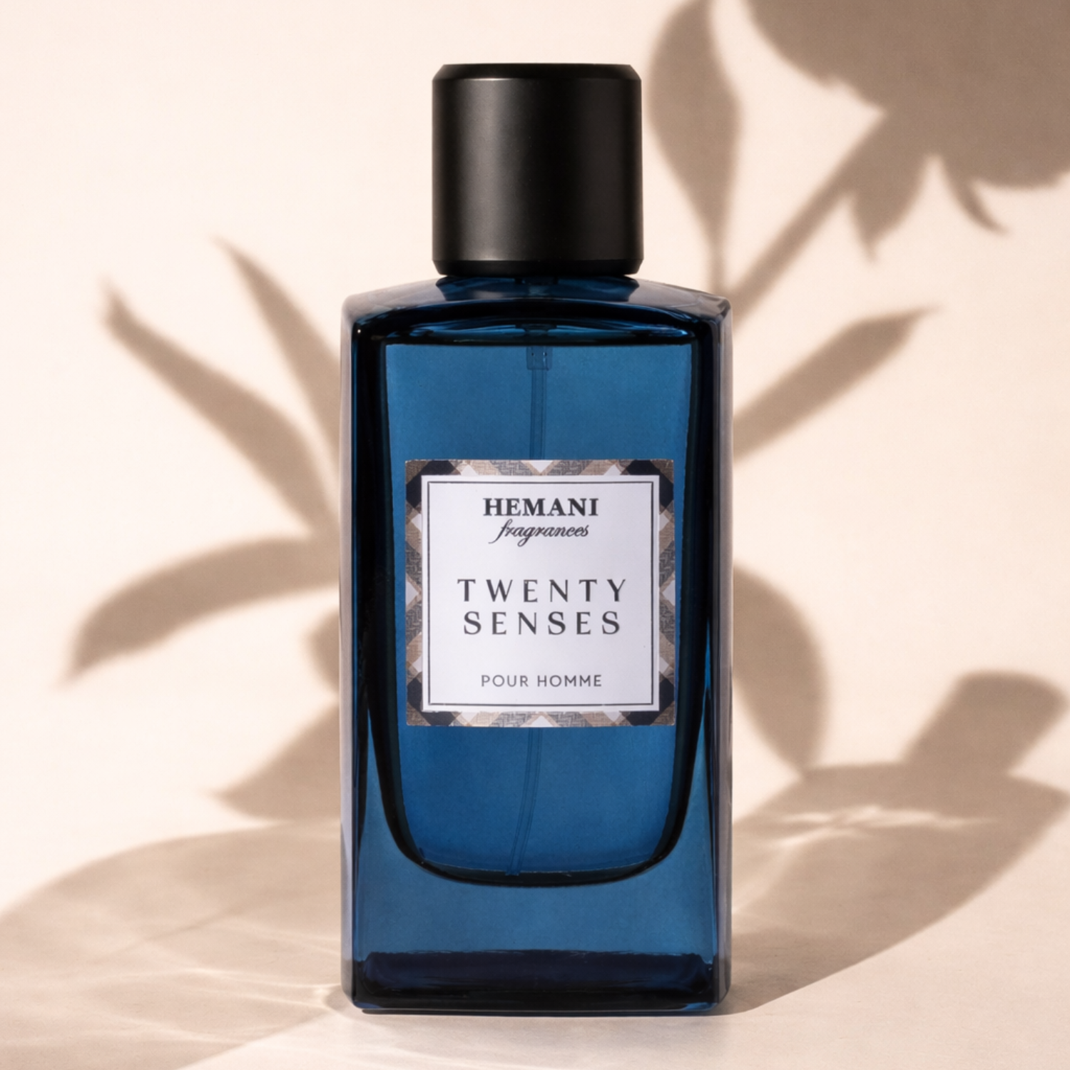 Twenty Senses Perfume for Men 100ml