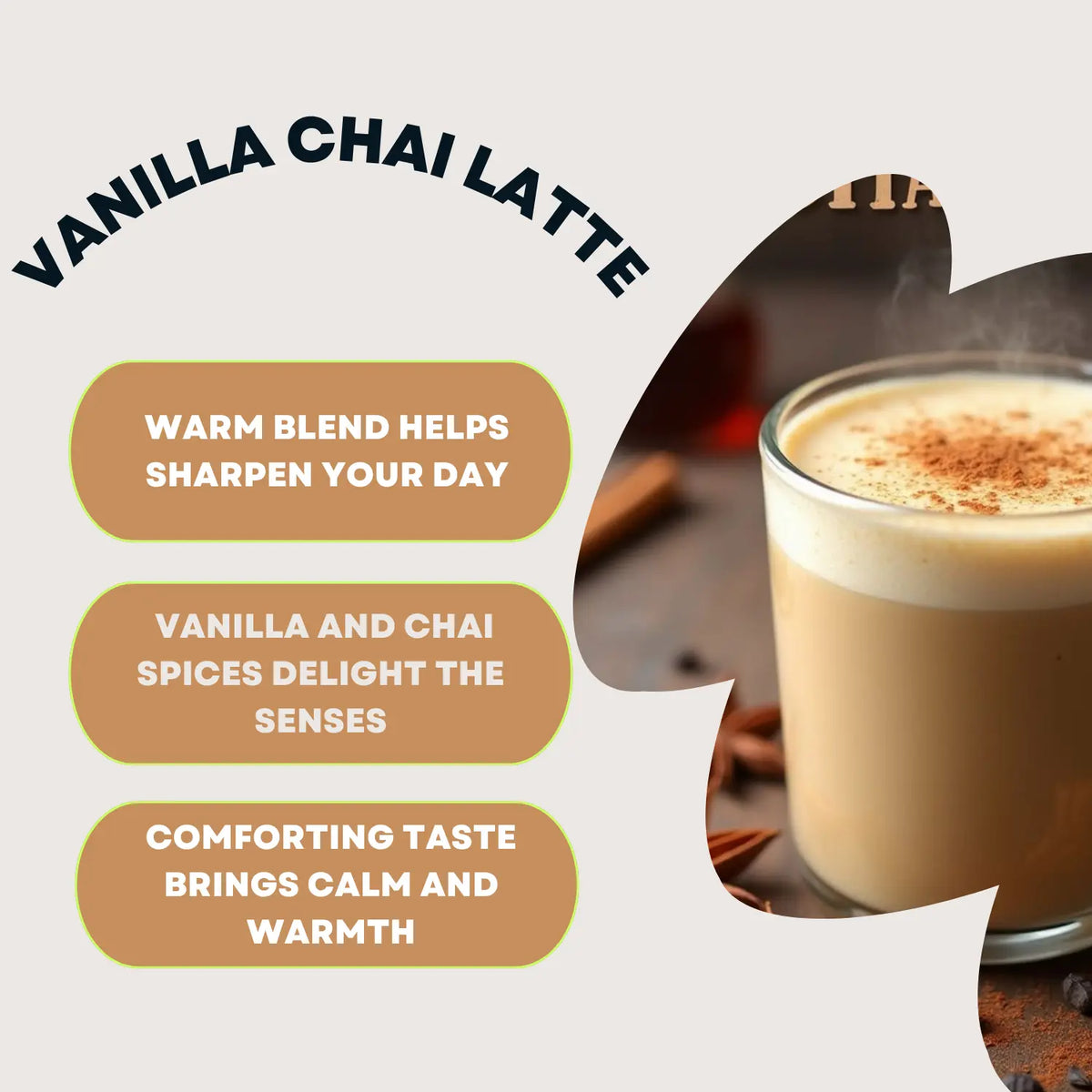 Vanilla Chai Latte Instant Premix - 220g