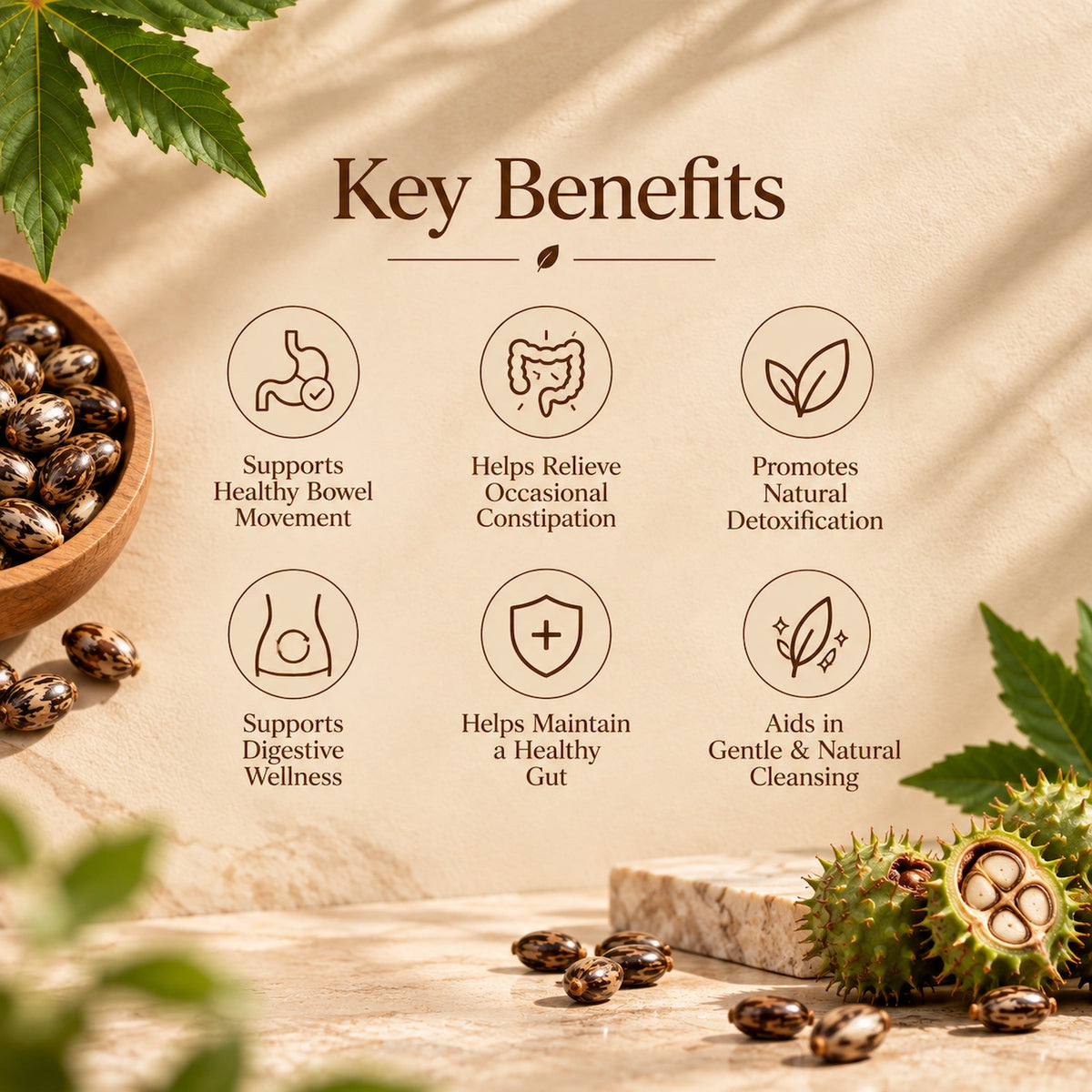WB Herbal Oil Capsule - Castor