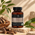 WB Herbal Oil Capsule - Costus Root