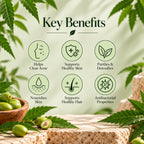 WB Herbal Oil Capsule - Neem