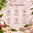 WB Herbal Oil Capsule - Garlic