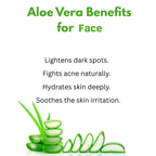 Intensive Care Therapy - Aloe Vera Gel 50ml (Tube)