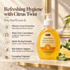 Antiseptic Hand Sanitizer 250ml - Citrus Twist