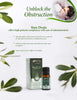 Herbal Sinu-Drain Oil 10ml