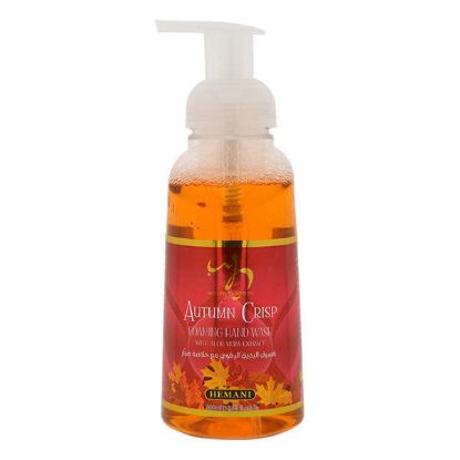 Picture of Foaming Hand Wash Antibacterial With Softening Aloe Vera - Autumn Crisp