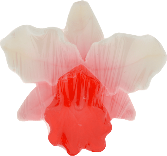 Picture of Fruit Soap Orchid