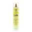 Earth Fragrance Mist | WB by Hemani	