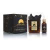 Molten Scents Volcanic Rocks Diffuser | WB by Hemani	