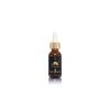 Molten Scents Volcanic Rocks Diffuser | WB by Hemani	