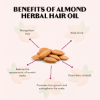 hair growth, strong & shiny hair, silky & smooth hair, hair breakage, healthy hair, hair oil, almond herbal hair oil, almond hair oil with coconut, hair strengthening oil, natural hair oil, herbal hair oil, anti-hair fall oil, smooth hair oil, shiny hair oil, coconut almond hair oil, best hair oil for growth, almond oil, almond, organic almond oil, organic oil, herbal oil, almond hair oil with coconut